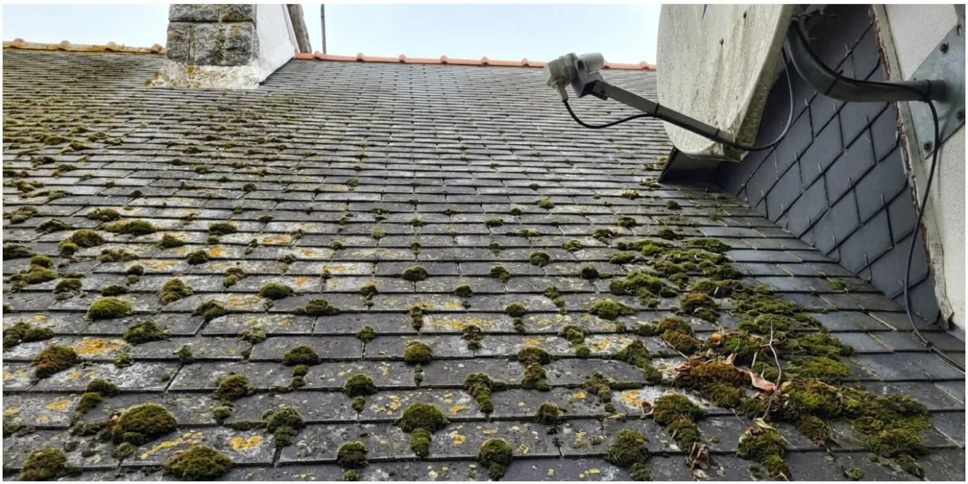 nettoyage toiture ardoises fibrociment Meaux — avant nettoyage nettoyage toiture ardoises fibrociment Meaux — avant nettoyage