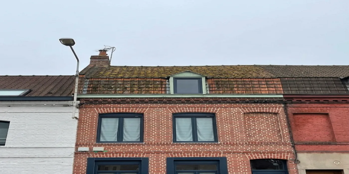 nettoyage toiture Meaux — avant nettoyage nettoyage toiture Meaux — avant nettoyage